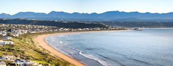 Green Grass Field Near Body of Water
